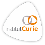 Institut Curie