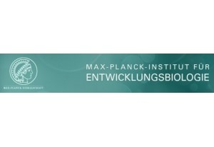 Max Planck Institute for Developmental Biology