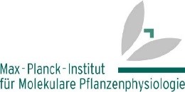 Max Planck Institute of Molecular Plant Physiology