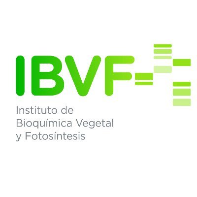IBVF