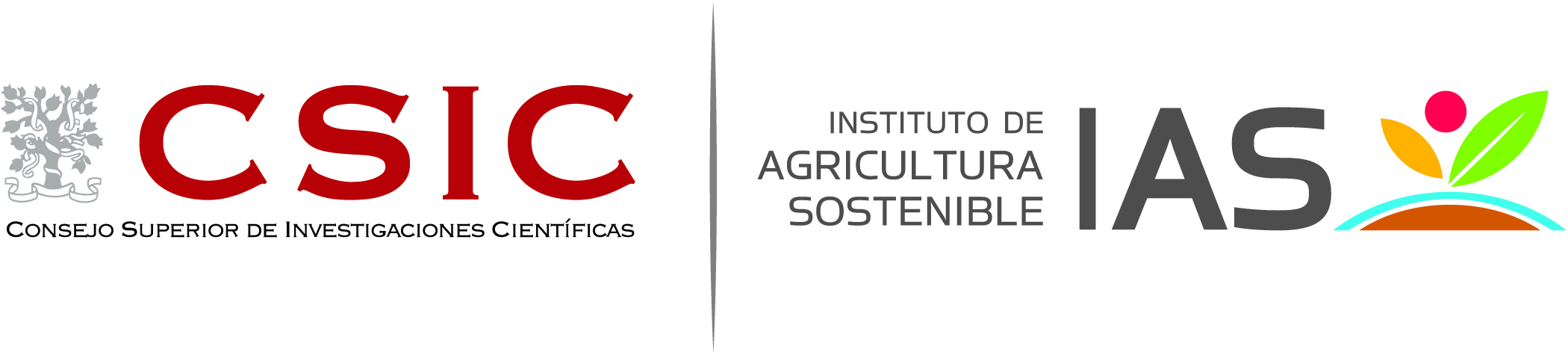 CSIC - IAS